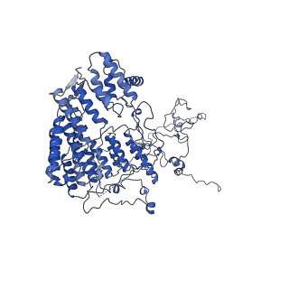 0230_6hiw_DD_v1-2
Cryo-EM structure of the Trypanosoma brucei mitochondrial ribosome - This entry contains the complete small mitoribosomal subunit in complex with mt-IF-3