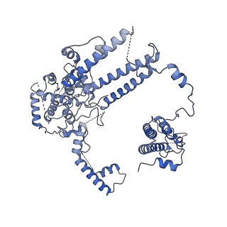 0230_6hiw_DE_v1-2
Cryo-EM structure of the Trypanosoma brucei mitochondrial ribosome - This entry contains the complete small mitoribosomal subunit in complex with mt-IF-3