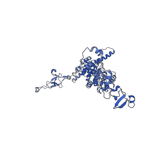 0230_6hiw_DF_v1-2
Cryo-EM structure of the Trypanosoma brucei mitochondrial ribosome - This entry contains the complete small mitoribosomal subunit in complex with mt-IF-3