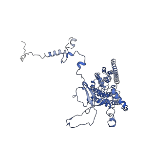 0230_6hiw_DH_v1-2
Cryo-EM structure of the Trypanosoma brucei mitochondrial ribosome - This entry contains the complete small mitoribosomal subunit in complex with mt-IF-3