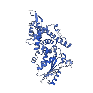0230_6hiw_DI_v1-2
Cryo-EM structure of the Trypanosoma brucei mitochondrial ribosome - This entry contains the complete small mitoribosomal subunit in complex with mt-IF-3