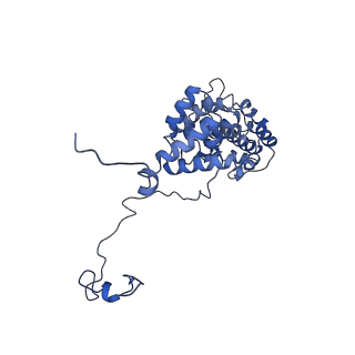 0230_6hiw_DJ_v1-2
Cryo-EM structure of the Trypanosoma brucei mitochondrial ribosome - This entry contains the complete small mitoribosomal subunit in complex with mt-IF-3