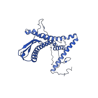 0230_6hiw_DM_v1-2
Cryo-EM structure of the Trypanosoma brucei mitochondrial ribosome - This entry contains the complete small mitoribosomal subunit in complex with mt-IF-3