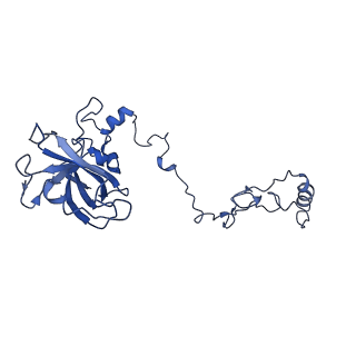 0230_6hiw_DN_v1-2
Cryo-EM structure of the Trypanosoma brucei mitochondrial ribosome - This entry contains the complete small mitoribosomal subunit in complex with mt-IF-3