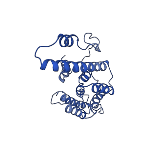 0230_6hiw_DO_v1-2
Cryo-EM structure of the Trypanosoma brucei mitochondrial ribosome - This entry contains the complete small mitoribosomal subunit in complex with mt-IF-3