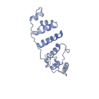 0230_6hiw_DP_v1-2
Cryo-EM structure of the Trypanosoma brucei mitochondrial ribosome - This entry contains the complete small mitoribosomal subunit in complex with mt-IF-3