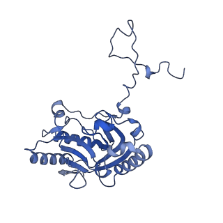 0230_6hiw_DQ_v1-2
Cryo-EM structure of the Trypanosoma brucei mitochondrial ribosome - This entry contains the complete small mitoribosomal subunit in complex with mt-IF-3