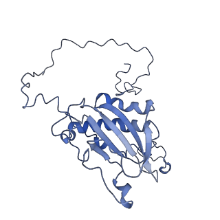 0230_6hiw_DR_v1-2
Cryo-EM structure of the Trypanosoma brucei mitochondrial ribosome - This entry contains the complete small mitoribosomal subunit in complex with mt-IF-3