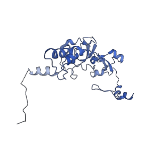 0230_6hiw_DS_v1-2
Cryo-EM structure of the Trypanosoma brucei mitochondrial ribosome - This entry contains the complete small mitoribosomal subunit in complex with mt-IF-3