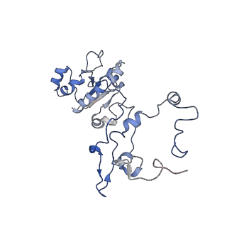 0230_6hiw_DT_v1-2
Cryo-EM structure of the Trypanosoma brucei mitochondrial ribosome - This entry contains the complete small mitoribosomal subunit in complex with mt-IF-3