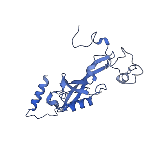 0230_6hiw_DU_v1-2
Cryo-EM structure of the Trypanosoma brucei mitochondrial ribosome - This entry contains the complete small mitoribosomal subunit in complex with mt-IF-3