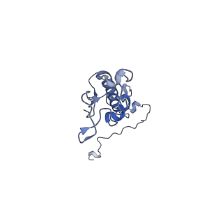 0230_6hiw_DV_v1-2
Cryo-EM structure of the Trypanosoma brucei mitochondrial ribosome - This entry contains the complete small mitoribosomal subunit in complex with mt-IF-3