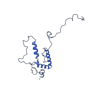 0230_6hiw_DW_v1-2
Cryo-EM structure of the Trypanosoma brucei mitochondrial ribosome - This entry contains the complete small mitoribosomal subunit in complex with mt-IF-3