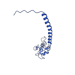 0230_6hiw_DX_v1-2
Cryo-EM structure of the Trypanosoma brucei mitochondrial ribosome - This entry contains the complete small mitoribosomal subunit in complex with mt-IF-3