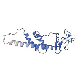 0230_6hiw_DY_v1-2
Cryo-EM structure of the Trypanosoma brucei mitochondrial ribosome - This entry contains the complete small mitoribosomal subunit in complex with mt-IF-3