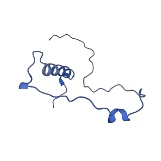 0230_6hiw_DZ_v1-2
Cryo-EM structure of the Trypanosoma brucei mitochondrial ribosome - This entry contains the complete small mitoribosomal subunit in complex with mt-IF-3