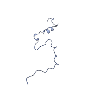 0230_6hiw_Da_v1-2
Cryo-EM structure of the Trypanosoma brucei mitochondrial ribosome - This entry contains the complete small mitoribosomal subunit in complex with mt-IF-3