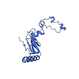 0231_6hix_A0_v1-1
Cryo-EM structure of the Trypanosoma brucei mitochondrial ribosome - This entry contains the large mitoribosomal subunit