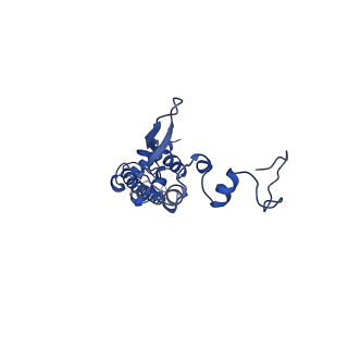 0231_6hix_A1_v1-1
Cryo-EM structure of the Trypanosoma brucei mitochondrial ribosome - This entry contains the large mitoribosomal subunit