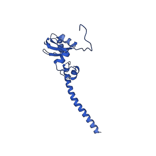 0231_6hix_A3_v1-1
Cryo-EM structure of the Trypanosoma brucei mitochondrial ribosome - This entry contains the large mitoribosomal subunit