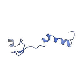 0231_6hix_A5_v1-1
Cryo-EM structure of the Trypanosoma brucei mitochondrial ribosome - This entry contains the large mitoribosomal subunit