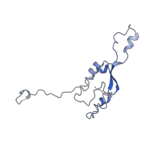 0231_6hix_A8_v1-1
Cryo-EM structure of the Trypanosoma brucei mitochondrial ribosome - This entry contains the large mitoribosomal subunit