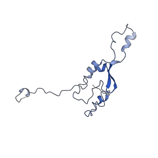0231_6hix_A8_v2-0
Cryo-EM structure of the Trypanosoma brucei mitochondrial ribosome - This entry contains the large mitoribosomal subunit
