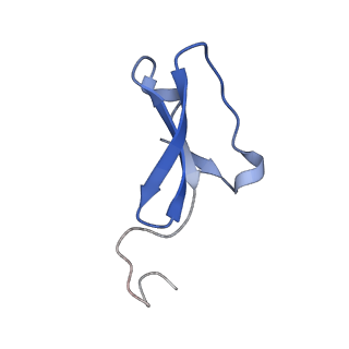 0231_6hix_A9_v1-1
Cryo-EM structure of the Trypanosoma brucei mitochondrial ribosome - This entry contains the large mitoribosomal subunit