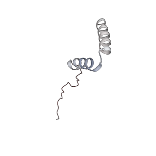 0231_6hix_AB_v1-1
Cryo-EM structure of the Trypanosoma brucei mitochondrial ribosome - This entry contains the large mitoribosomal subunit
