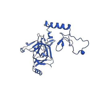 0231_6hix_AE_v1-1
Cryo-EM structure of the Trypanosoma brucei mitochondrial ribosome - This entry contains the large mitoribosomal subunit