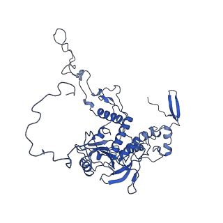 0231_6hix_AF_v1-1
Cryo-EM structure of the Trypanosoma brucei mitochondrial ribosome - This entry contains the large mitoribosomal subunit