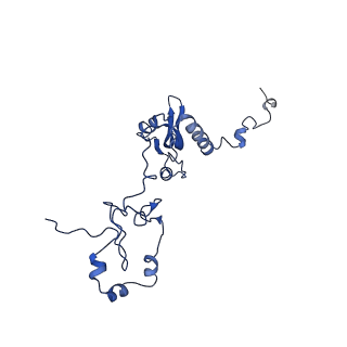 0231_6hix_AI_v1-1
Cryo-EM structure of the Trypanosoma brucei mitochondrial ribosome - This entry contains the large mitoribosomal subunit
