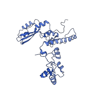 0231_6hix_AK_v1-1
Cryo-EM structure of the Trypanosoma brucei mitochondrial ribosome - This entry contains the large mitoribosomal subunit
