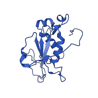 0231_6hix_AN_v1-1
Cryo-EM structure of the Trypanosoma brucei mitochondrial ribosome - This entry contains the large mitoribosomal subunit