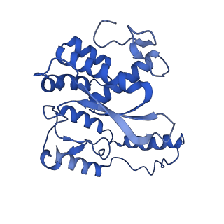 0231_6hix_AR_v1-1
Cryo-EM structure of the Trypanosoma brucei mitochondrial ribosome - This entry contains the large mitoribosomal subunit