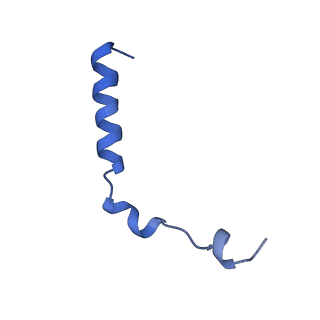 0231_6hix_AT_v1-1
Cryo-EM structure of the Trypanosoma brucei mitochondrial ribosome - This entry contains the large mitoribosomal subunit