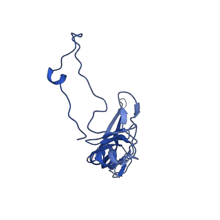 0231_6hix_AV_v1-1
Cryo-EM structure of the Trypanosoma brucei mitochondrial ribosome - This entry contains the large mitoribosomal subunit