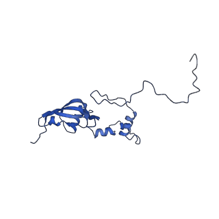 0231_6hix_AX_v1-1
Cryo-EM structure of the Trypanosoma brucei mitochondrial ribosome - This entry contains the large mitoribosomal subunit