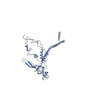 0231_6hix_AY_v1-1
Cryo-EM structure of the Trypanosoma brucei mitochondrial ribosome - This entry contains the large mitoribosomal subunit