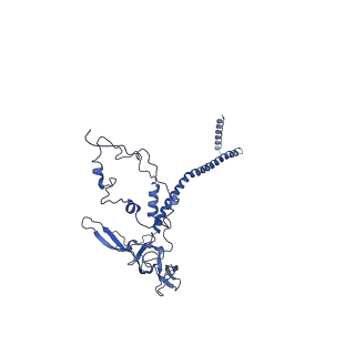 0231_6hix_AY_v2-0
Cryo-EM structure of the Trypanosoma brucei mitochondrial ribosome - This entry contains the large mitoribosomal subunit
