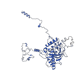 0231_6hix_Ab_v1-1
Cryo-EM structure of the Trypanosoma brucei mitochondrial ribosome - This entry contains the large mitoribosomal subunit