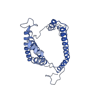 0231_6hix_Ad_v1-1
Cryo-EM structure of the Trypanosoma brucei mitochondrial ribosome - This entry contains the large mitoribosomal subunit