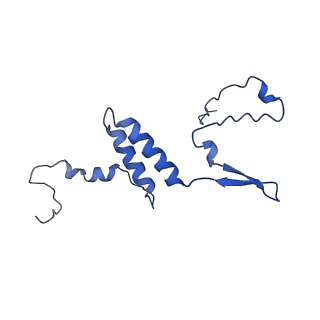 0231_6hix_Af_v1-1
Cryo-EM structure of the Trypanosoma brucei mitochondrial ribosome - This entry contains the large mitoribosomal subunit