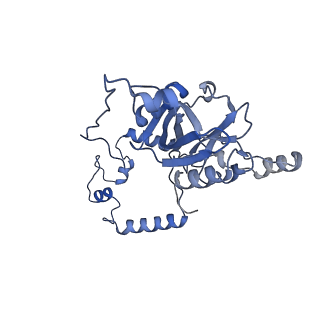 0231_6hix_Aj_v1-1
Cryo-EM structure of the Trypanosoma brucei mitochondrial ribosome - This entry contains the large mitoribosomal subunit