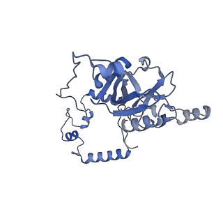 0231_6hix_Aj_v2-0
Cryo-EM structure of the Trypanosoma brucei mitochondrial ribosome - This entry contains the large mitoribosomal subunit