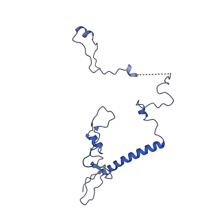 0231_6hix_Ao_v1-1
Cryo-EM structure of the Trypanosoma brucei mitochondrial ribosome - This entry contains the large mitoribosomal subunit
