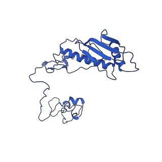 0231_6hix_Ap_v1-1
Cryo-EM structure of the Trypanosoma brucei mitochondrial ribosome - This entry contains the large mitoribosomal subunit