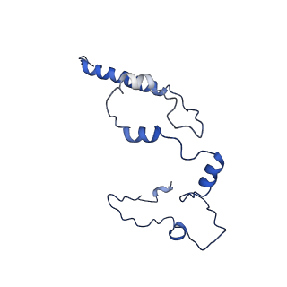 0231_6hix_At_v1-1
Cryo-EM structure of the Trypanosoma brucei mitochondrial ribosome - This entry contains the large mitoribosomal subunit