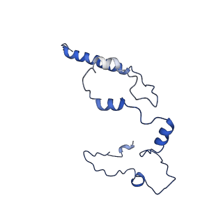 0231_6hix_At_v2-0
Cryo-EM structure of the Trypanosoma brucei mitochondrial ribosome - This entry contains the large mitoribosomal subunit