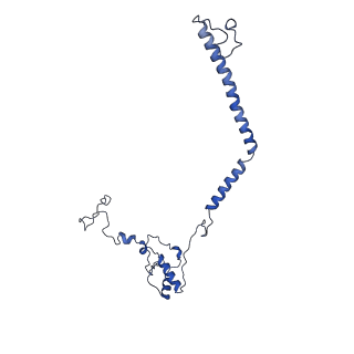 0231_6hix_Av_v2-0
Cryo-EM structure of the Trypanosoma brucei mitochondrial ribosome - This entry contains the large mitoribosomal subunit